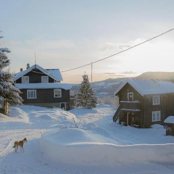 Eikre Fjellgård，位于海姆瑟达尔的酒店