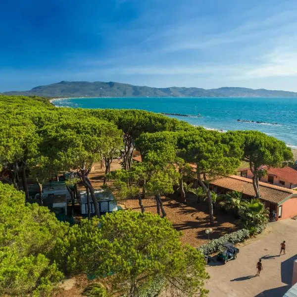 Sea View Home -Bilocale Angolo Cottura Vista Mare 4 pax，位于阿尔比尼娅的酒店