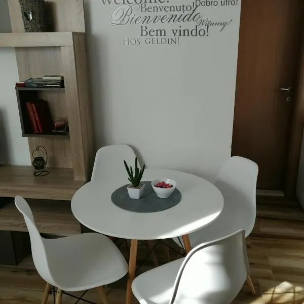 Apartman Gušt，位于泽莱尼卡的酒店