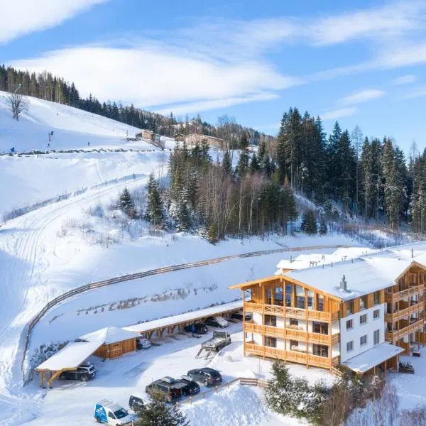 Skylodge Alpine Homes，位于巴特奥塞的酒店