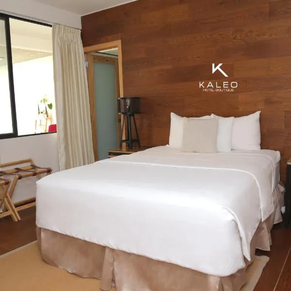 Kaleo Hotel Boutique，位于圣萨尔瓦多的酒店