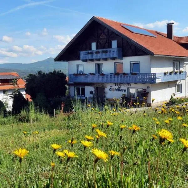 Gästehaus am Goldberg，位于Riedlhütte的酒店