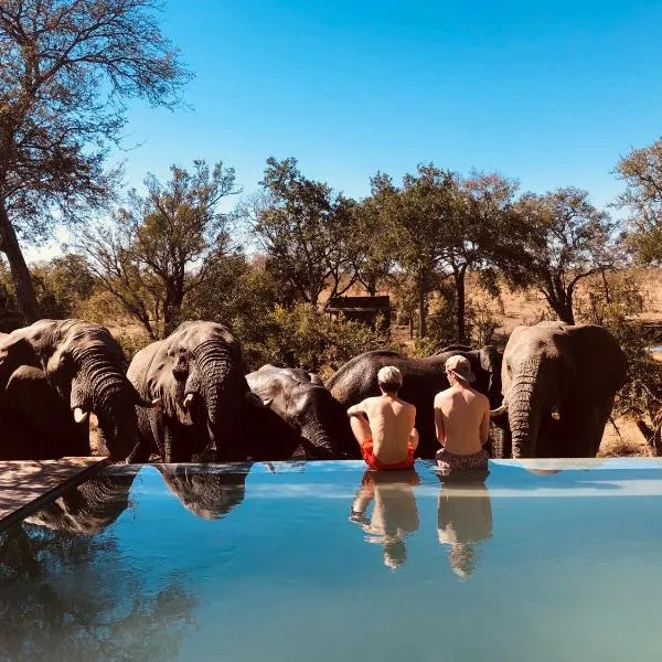 Honeyguide Tented Safari Camps - Mantobeni，位于Mluwati Concession 的酒店
