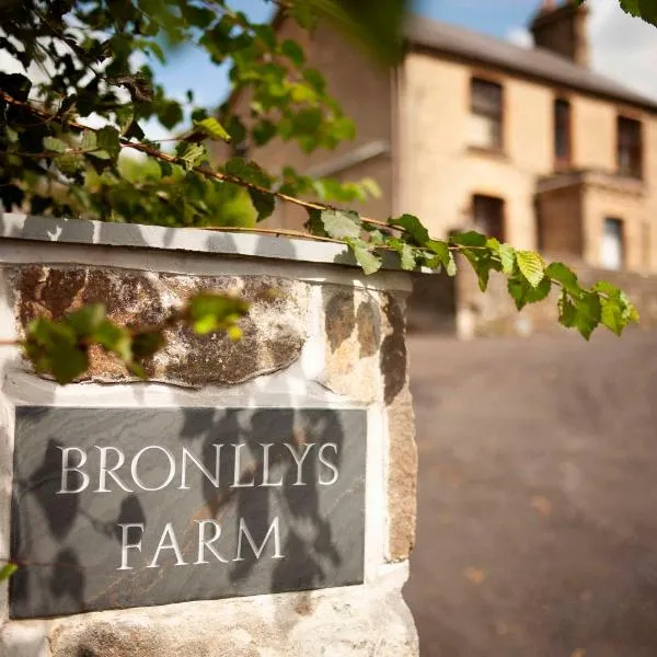 Bronllys Farm Coastal Self-Catering，位于Llanmadoc的酒店