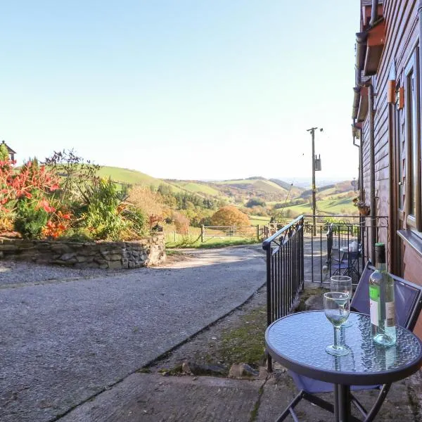 Beech Cottage，位于Llanidloes的酒店