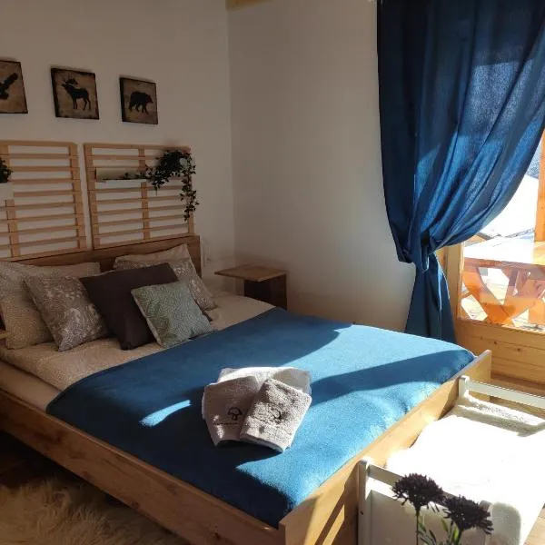 Apartament Borowikowe Zacisze，位于Falsztyn的酒店