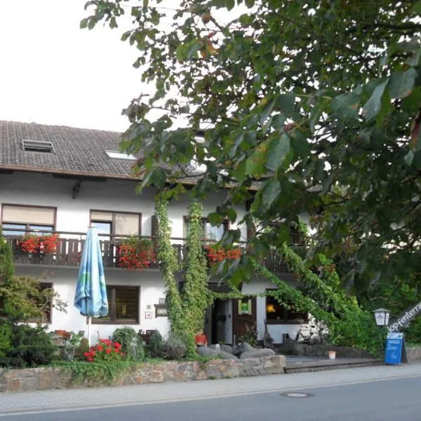 Landgasthof Brunnenwirt Zum Meenzer，位于Fischbachtal的酒店
