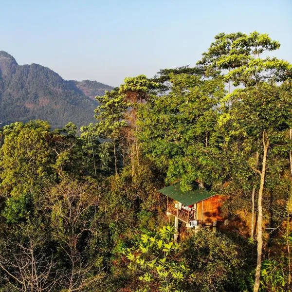 Tree Houses by Jungle River，位于Ambagamuwa的酒店