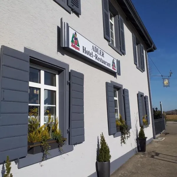 Hotel Landgasthof Adler，位于Untermünstertal的酒店