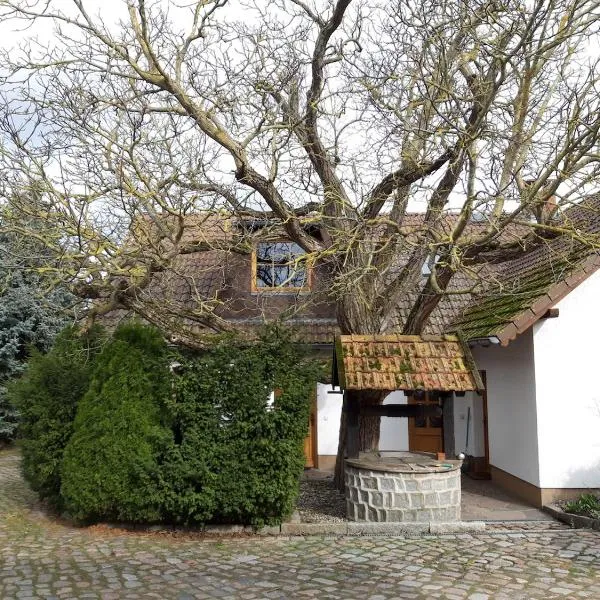 Ein Bett im Kornfeld - Haus Weitblick - mit Innenpool，位于Siedenbrünzow的酒店