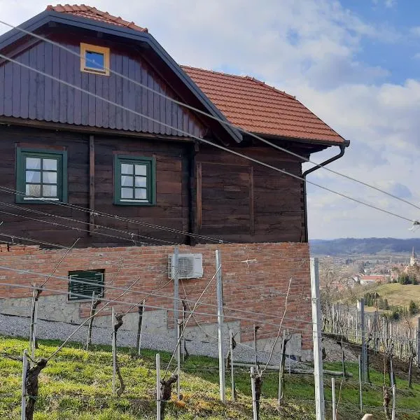 Kuća za odmor Cesarica，位于Biškupec Zelinski的酒店