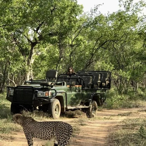 Karongwe Portfolio- Shiduli Private Game Lodge，位于侯斯普瑞特的酒店