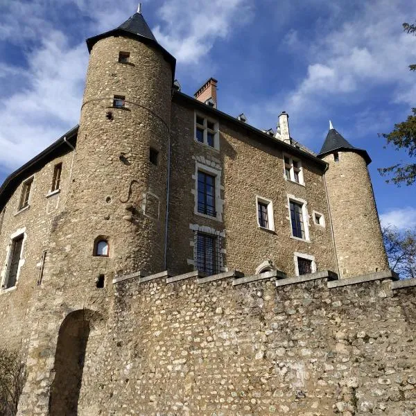 Appartement château Uriage-Chamrousse，位于Saint-Martin-dʼUriage的酒店