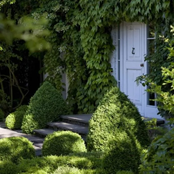 Landhaus Ettenbühl Bed and Breakfast，位于巴特贝林根的酒店