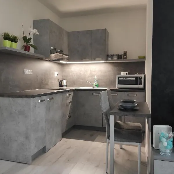 Apartman Kuzmanyho Žilina centrum，位于Višňové的酒店