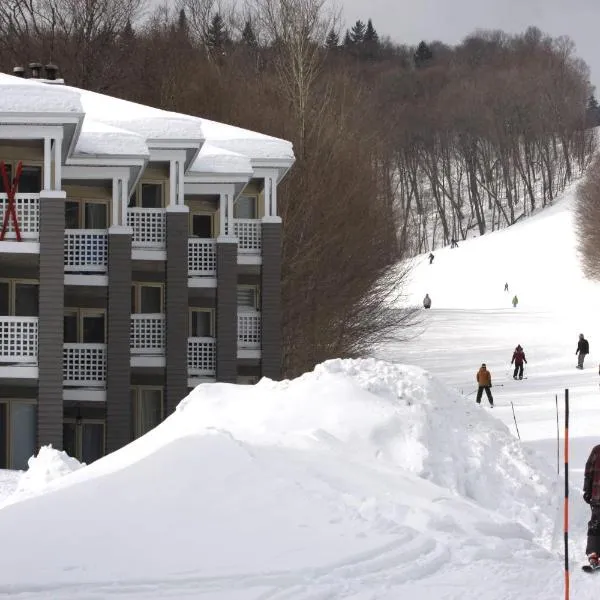 Ski-in, ski-out chaleureux studio loft au pied des pistes de ski，位于斯托纳姆的酒店