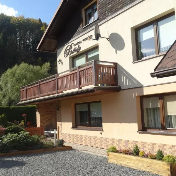 Pokoje Beskidy，位于维斯瓦的酒店