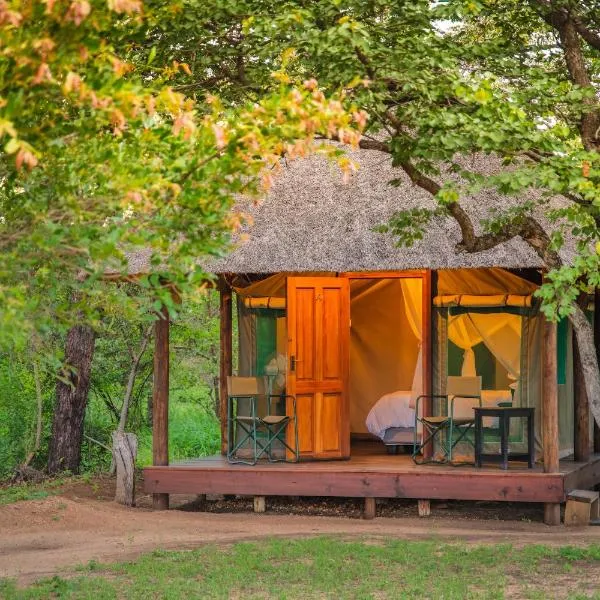 Shindzela Tented Camp，位于提姆巴瓦提禁猎区的酒店