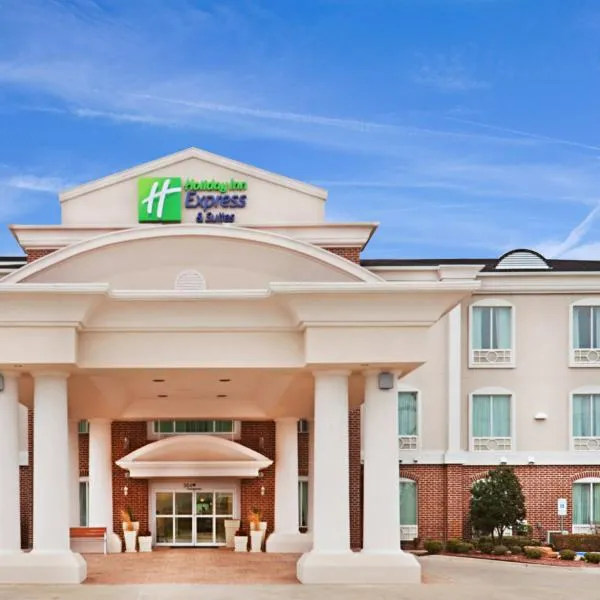 Holiday Inn Express & Suites Waxahachie by IHG，位于沃克西哈奇的酒店