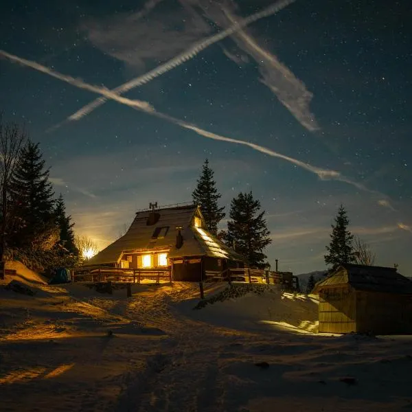 Chalet Tisa Velika Planina，位于Stahovica的酒店