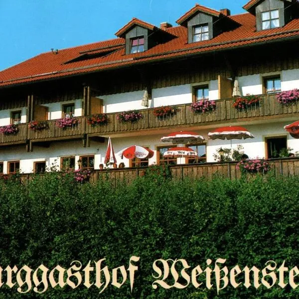 Burggasthof Weißenstein，位于Kirchdorf im Wald的酒店