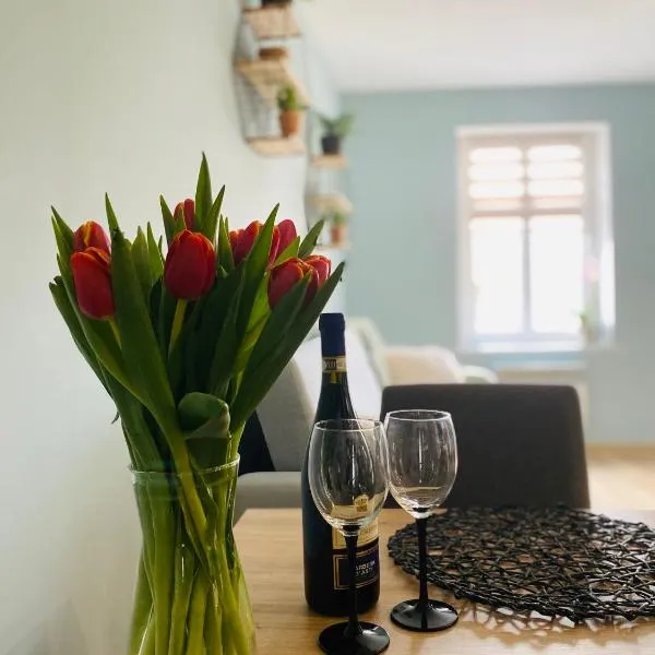 Apartament Bankowa，位于耶莱尼亚古拉的酒店