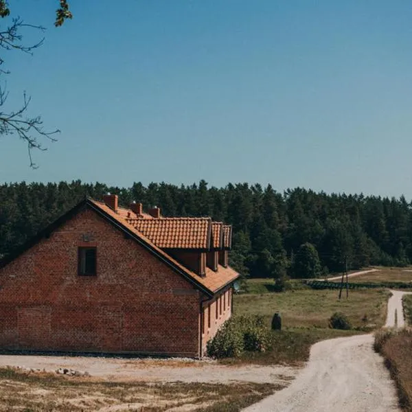 Apartamenty Rodzinne，位于Miłakowo的酒店