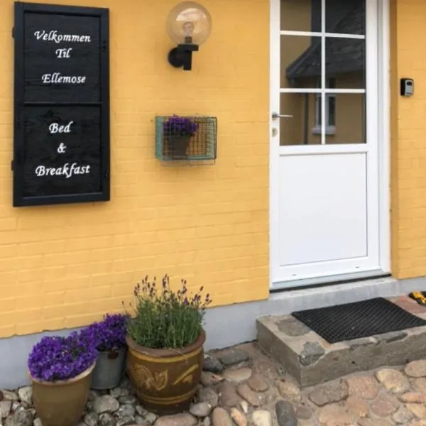 Ellemose Bed and Breakfast，位于Langerhuse的酒店