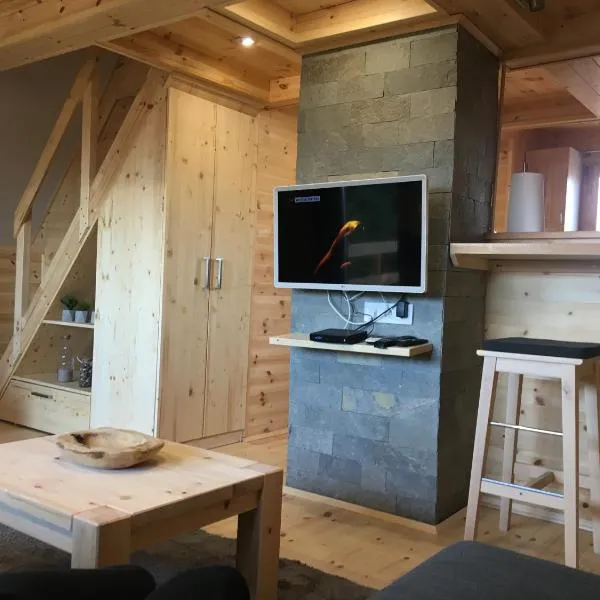 Wooden Apartman Prémium Jacuzzival，位于下厄尔什的酒店