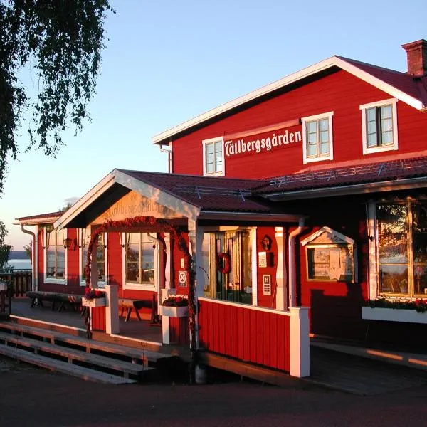 托尔堡斯农场酒店，位于Siljansnäs的酒店