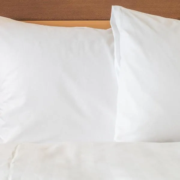 Holiday Inn Express and Suites Des Moines Downtown by IHG，位于德梅因的酒店