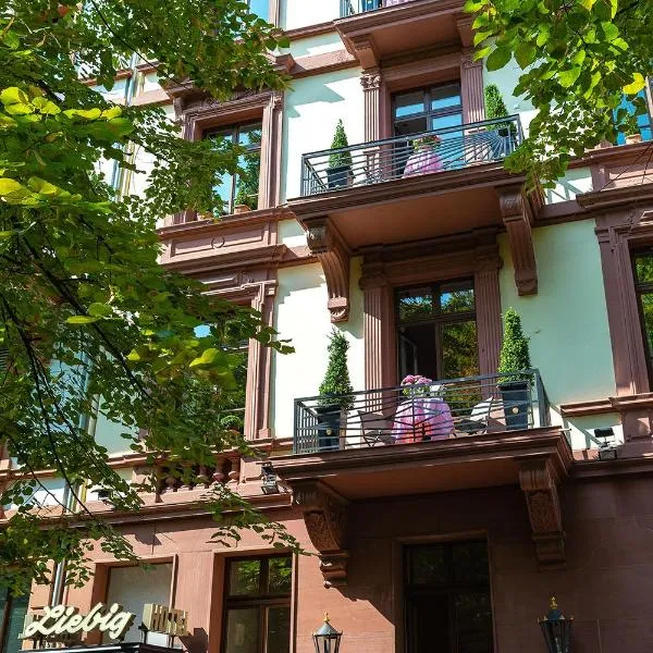 利比格酒店，位于美因河畔法兰克福的酒店