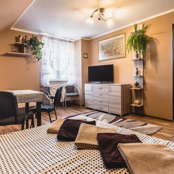 Pensjonat BONI，位于托尔克米茨科的酒店