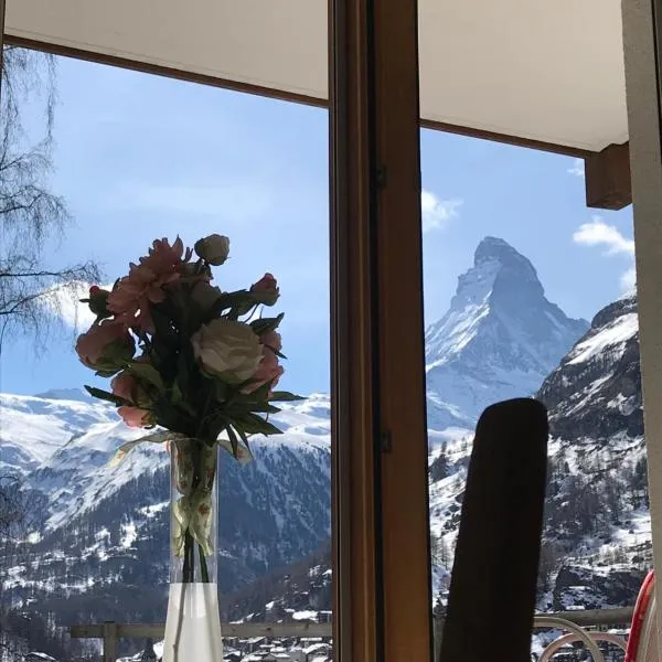 Millennium top view，位于采尔马特的酒店