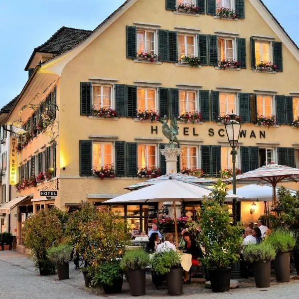 Romantik Hotel Schwan，位于Obermeilen的酒店