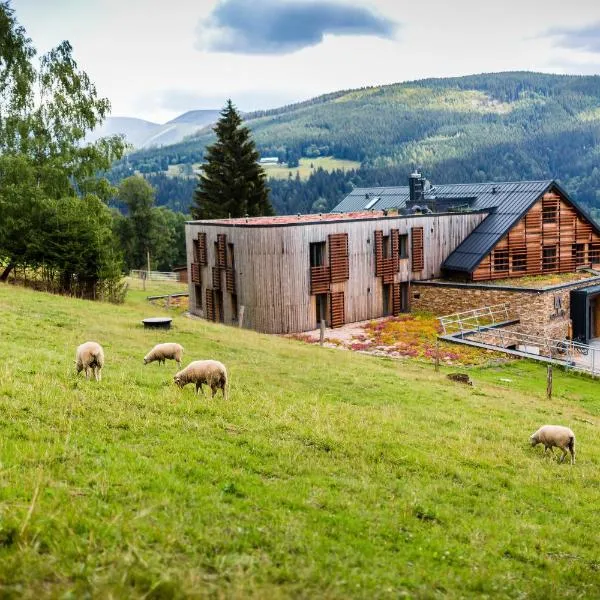 Amenity Hotel & Resort Špindlerův Mlýn，位于什平德莱鲁夫姆林的酒店