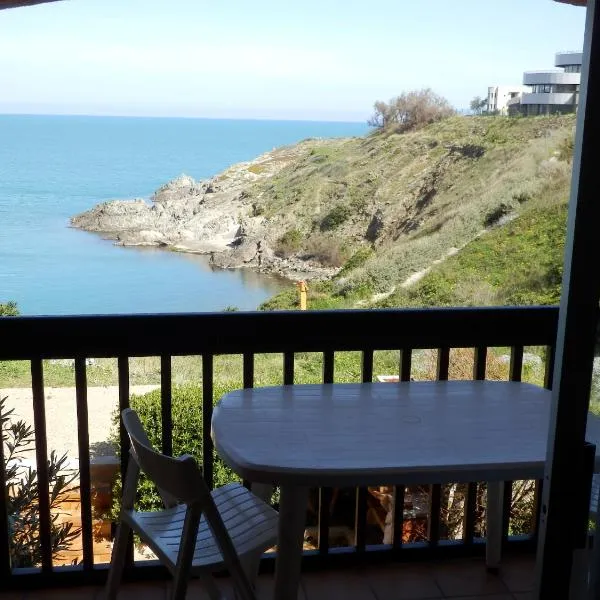 Appartement vue mer Port Vendres Collioure direct crique wifi，位于旺德尔港的酒店