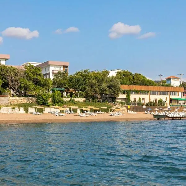 特洛阿斯海滩酒店，位于Babakale的酒店