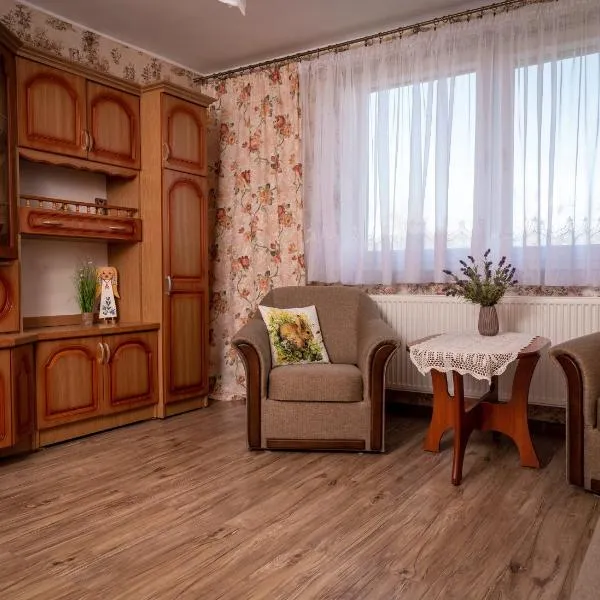 Agroturystyka Gawryś apartament，位于萨希诺的酒店