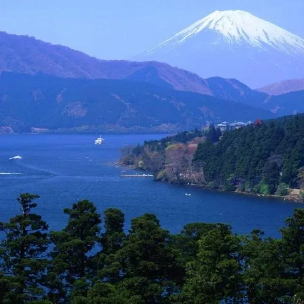 Chalet Itomic M - Mountain view -，位于箱根的酒店