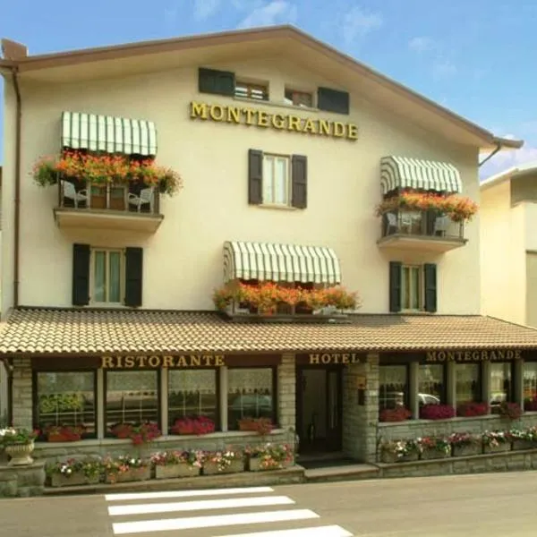 Hotel Montegrande，位于Ospitale的酒店