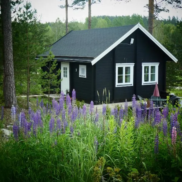 Fröya Timber Cottage，位于Brunskog的酒店