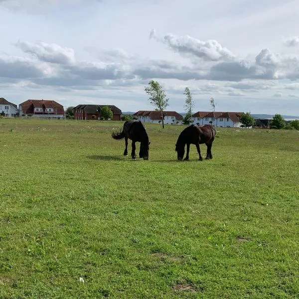 Apartment MS Seeigel (73m²) im Ferienpark，位于萨加尔德的酒店