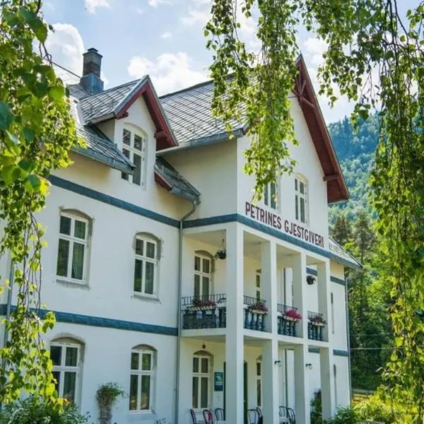 佩崔尼斯酒店，位于Tafjord的酒店