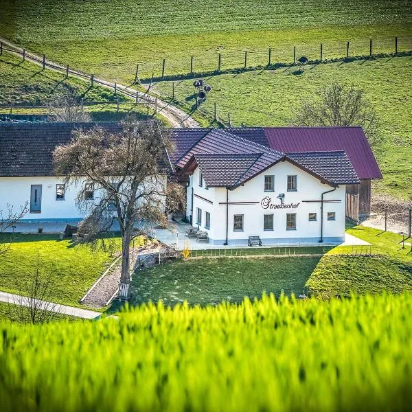 Straußenhof Halmer，位于Oberndorf an der Melk的酒店