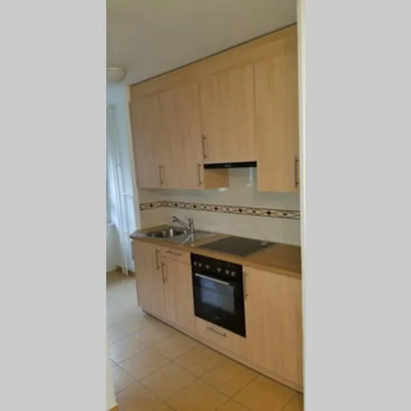 HSH Boston - Moderne Junior Suite-Apartment 36 m2 - Lausanne，位于洛桑的酒店
