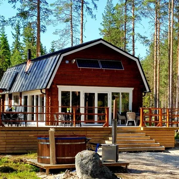 ForRest unikt designat hus mitt i skogen，位于Edsbyn的酒店