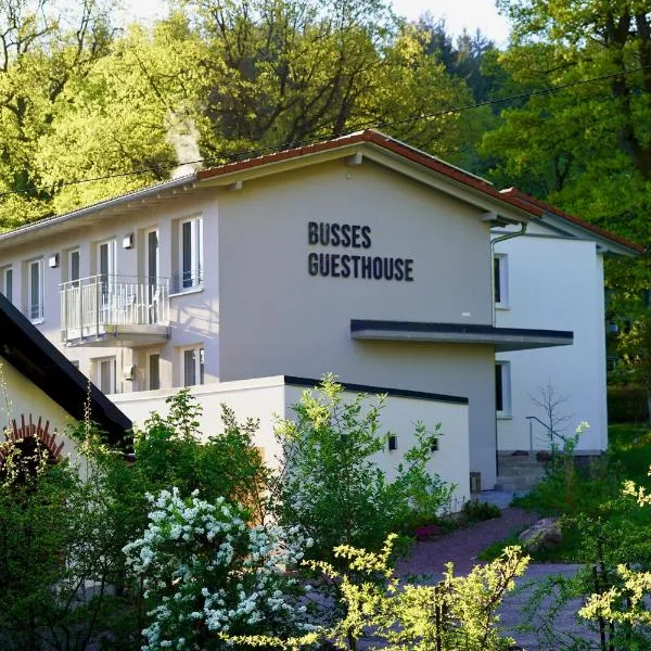 Busses Guesthouse，位于Vörstetten的酒店