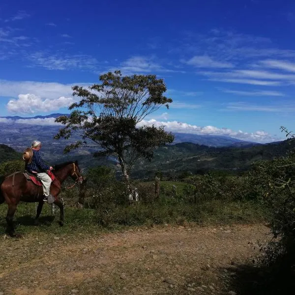 Finca Queveri，位于Tapantí的酒店