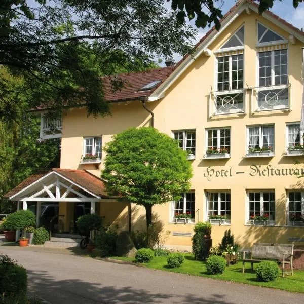 姆勒酒店，位于宾岑的酒店